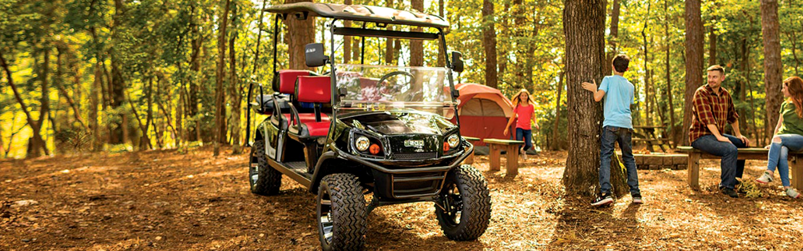 Pure North Golf Cars Petoskey Michigan