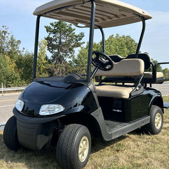 E-Z-GO-RXV-Golf-Car-Northern-Michigan E-Z-GO RXV Golf Car Northern Michigan